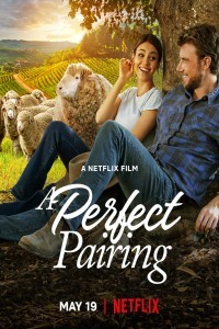 A Perfect Pairing (2022) Hindi Dubbed