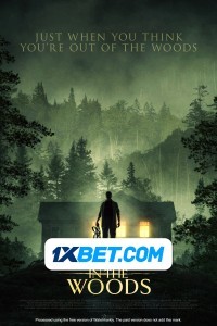 Stranger in the Woods (2024) Hindi Dubbed